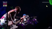 Sir Psycho Sexy...They're Red Hot (Robert Johnson cover) - Red Hot Chili Peppers (live)