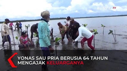 Pembibitan Mangrove  Untuk Mencegah Terjadinya Abrasi