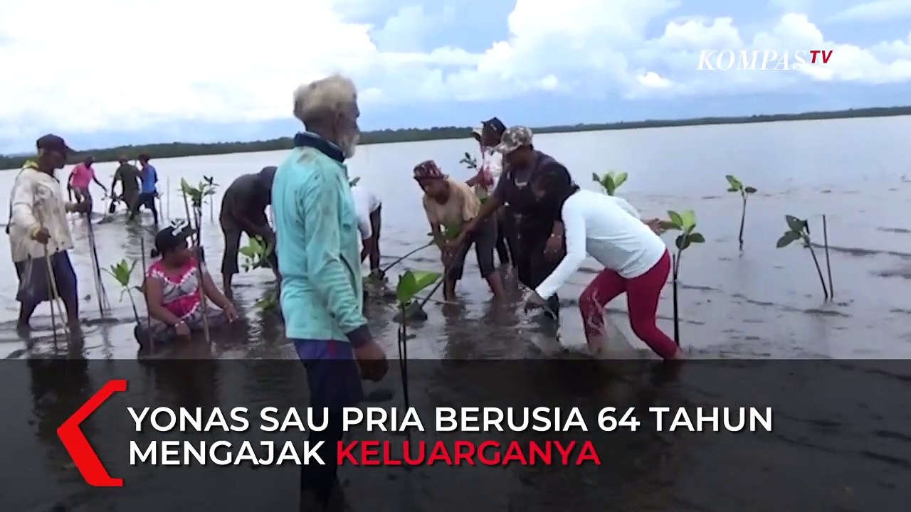 Pembibitan Mangrove  Untuk Mencegah Terjadinya Abrasi