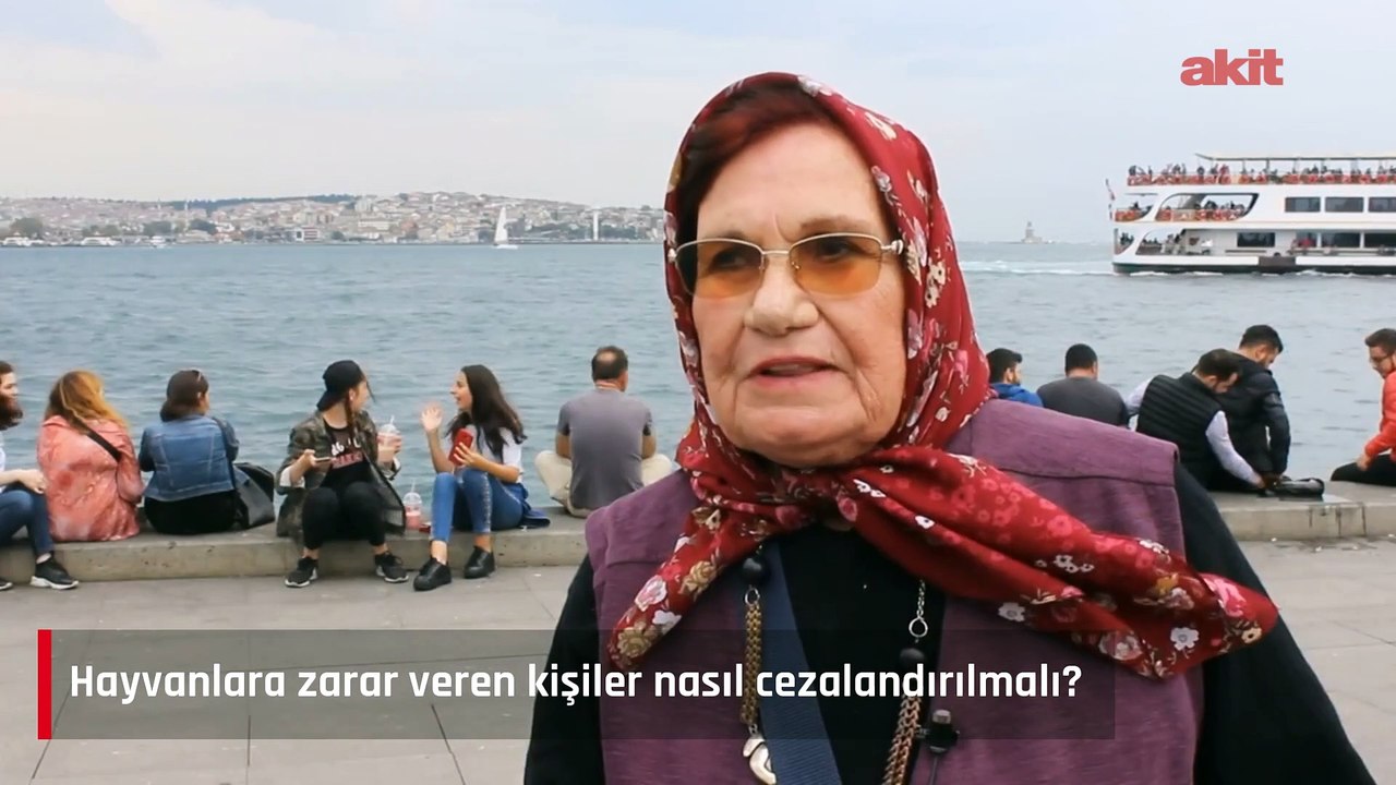 Hayvanlara zarar veren kişiler nasıl cezalandırılmalı?