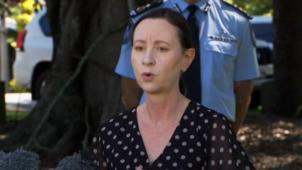 Queensland Health Minister Yvette D'Arth Update