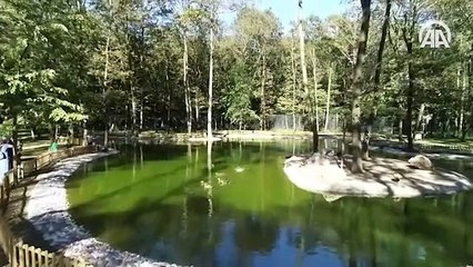 "Ormanya" hayvan popülasyonuna katkı sağlayacak