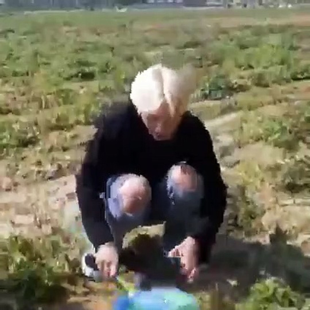 ⁣Hoshi as a multi (tiger, hamster, spider)