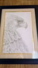 Eagle drawing