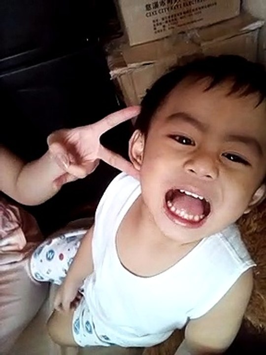 bibo