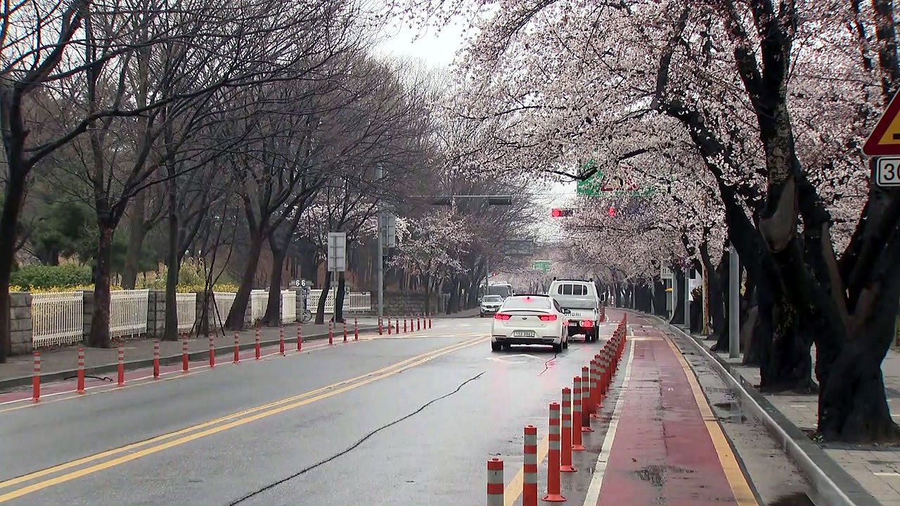 [날씨] 밤사이 중서부·전남 동부 비...내일 황사 유입 / YTN