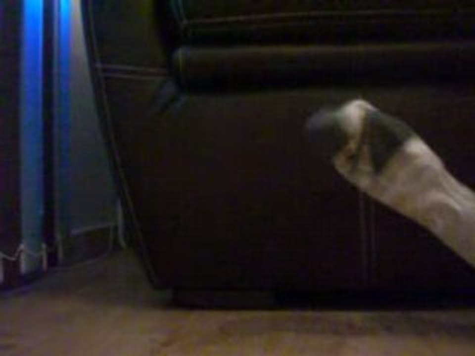 Chaussettes musical