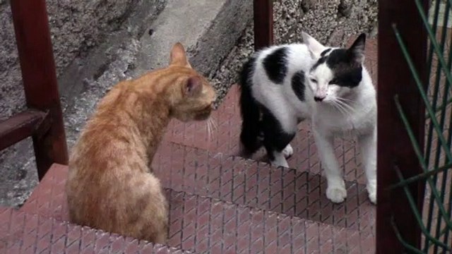 PA SUBSCRIBE PO WATCH FULLVIDEO MAXTIP SAME DIN PO GAGAWIN KO.