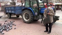 Valilikten izin alan vatandaş, kısıtlama günlerinde bile güvercinlere yem veriyor