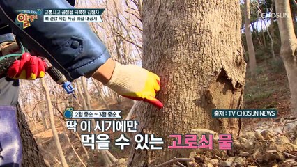 김형자가 마시는 뼈 건강에 좋은 물의 정체는? TV CHOSUN 20210328 방송