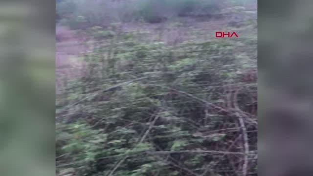 ANTALYA Çoban dere kenarında insan kafatası buldu