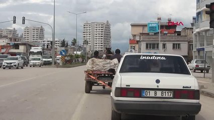 ADANA Kurallara uymayıp, at arabasıyla arızalı otomobil çektiler