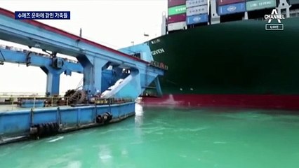 수에즈 운하에 갇힌 동물 수천 마리 ‘아사 위기’