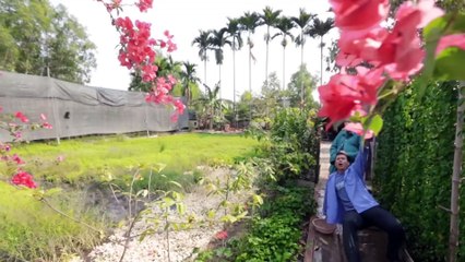 Tình Đẹp Quê Hương - DVĐA Trí Quang ft Nhã Phượng  | GIALAC0210