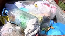 Belgrad Ormanı'na 1 günde 10 ton çöp bıraktılar