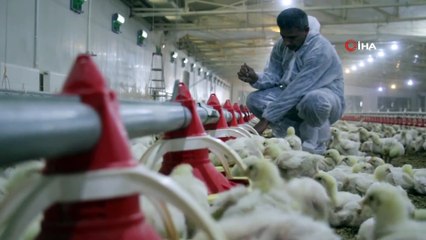 Devlet Desteği İle Çiftlik Kurdu, Yılda 300 Bin TL Kazanmaya Başladı