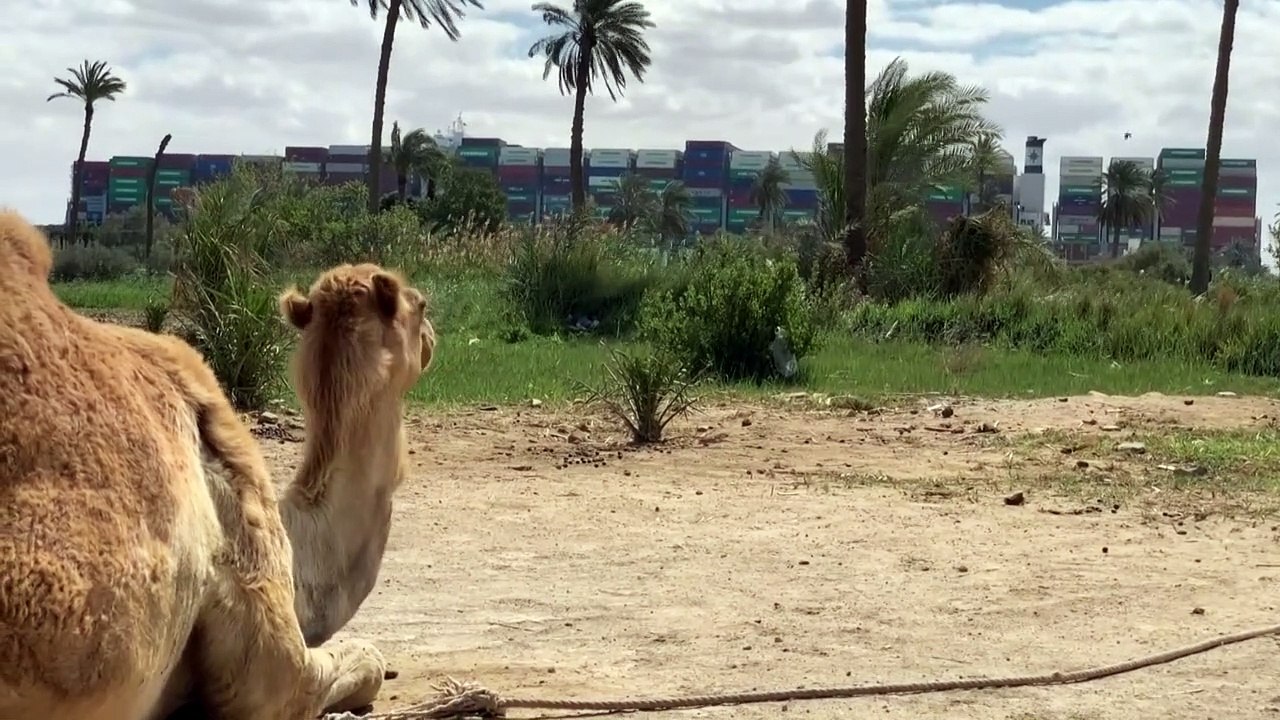 Am Suez-Kanal steht noch immer alles still