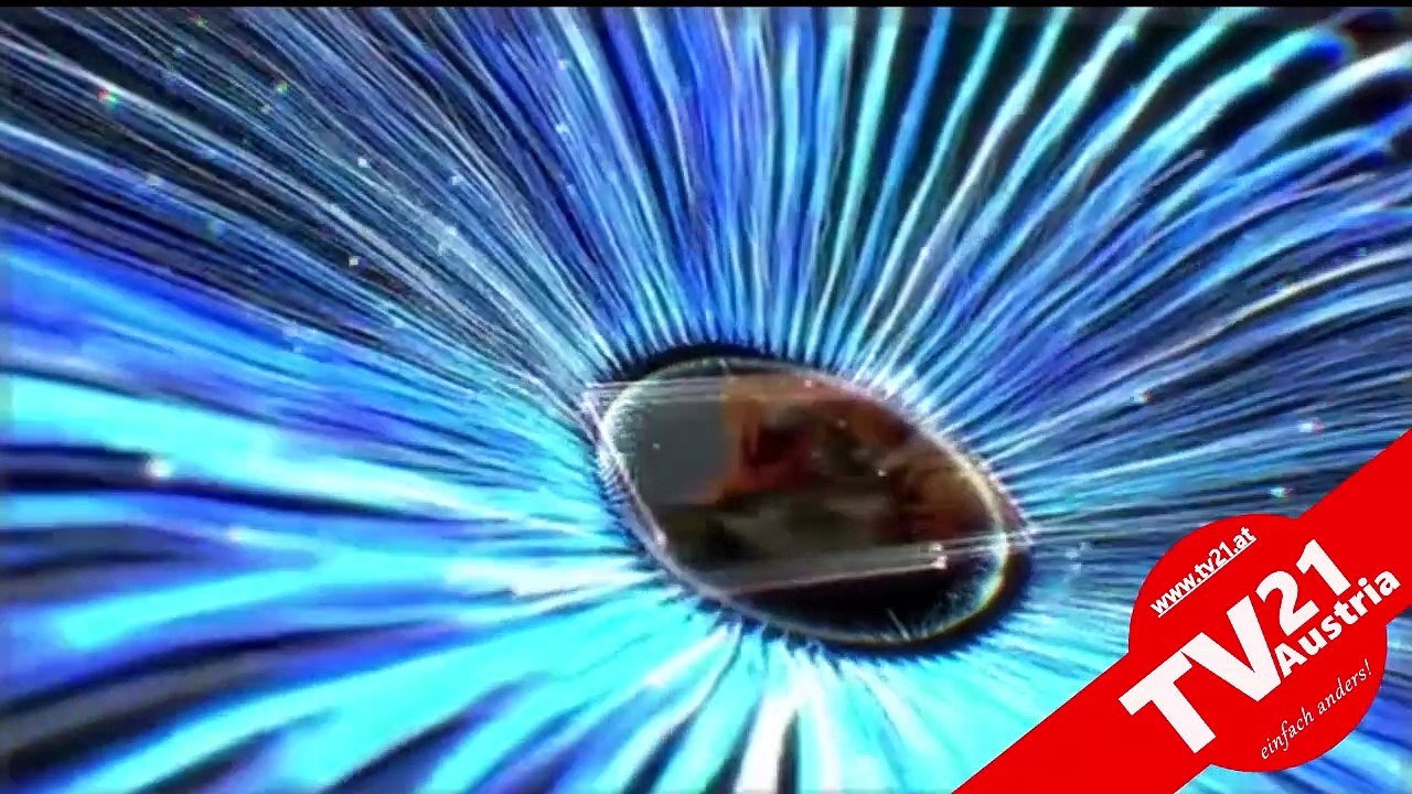 Energetisches Coaching mit Dagmar Truxa - Folge 12