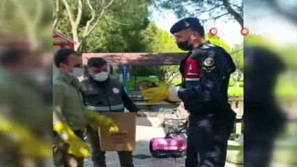 Yaralı yavru şahin emin ellerde