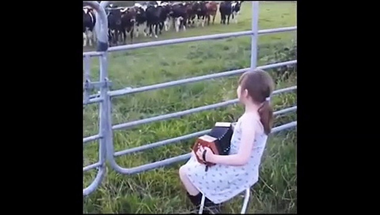 Puissance de la musique sur les animaux