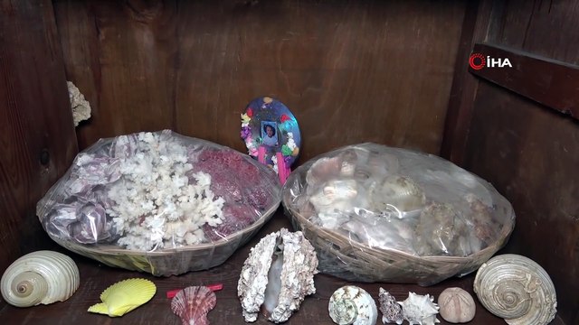 Deniz Olamayan Şehir Mardin'de, Deniz Canlılarının Binlerce Yıllık Fosilleri Sergileniyor