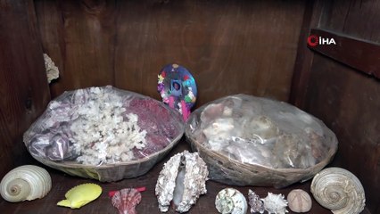 Deniz Olamayan Şehir Mardin'de, Deniz Canlılarının Binlerce Yıllık Fosilleri Sergileniyor