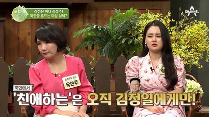 AV(?)와 합성된 리설주... 남북공동연락사무소 폭파의 원인이 되었다?