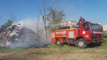 Son dakika haberi... Tarsus'ta çıkan yangında 30 ton saman kül oldu