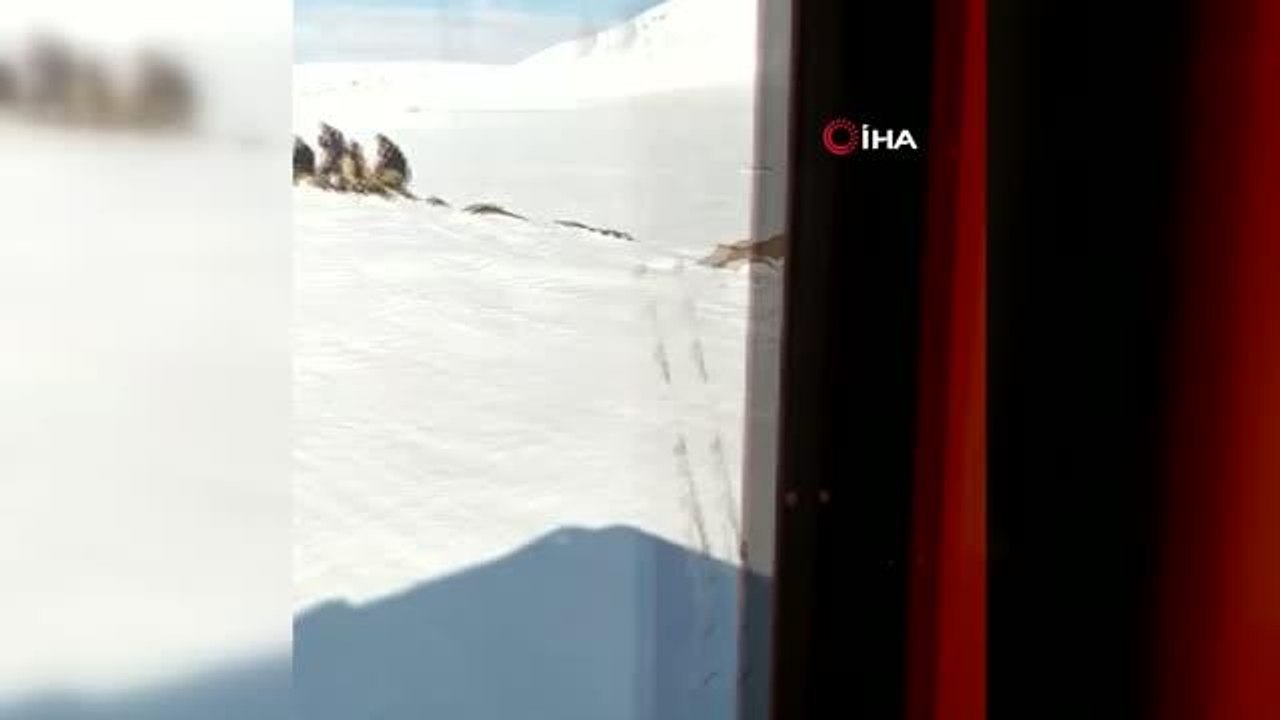 İçme suları için gittikleri arazide mahsur kalan köylüleri AFAD kurtardı