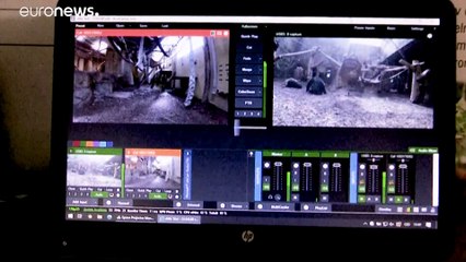 Шимпанзе освоили Zoom