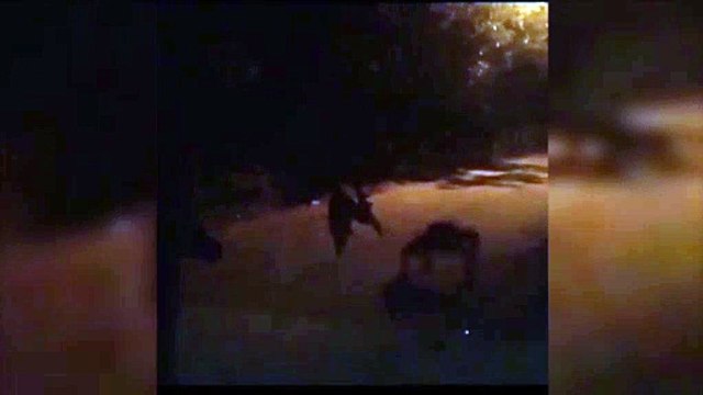 A coisa tá feia, a coisa tá preta! Criatura não identificada é flagrada no Bairro Universitário
