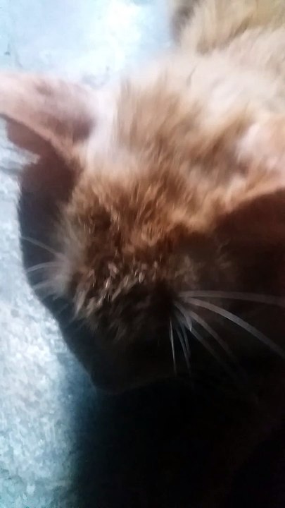 scrapper recostandose al piso