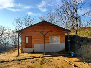 Ormana yapılan kulübede define ararken suçüstü yakalandılar