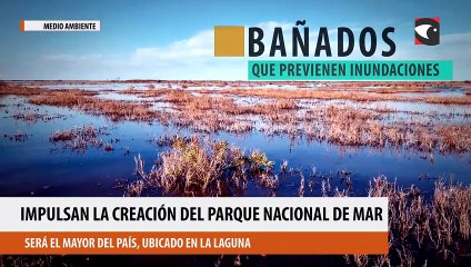 impulsan la creación del parque nacional de Mar Chiquita