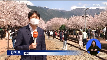 "불안하고 또 불안"…진해 벚꽃 보러 쏟아진 상춘객들