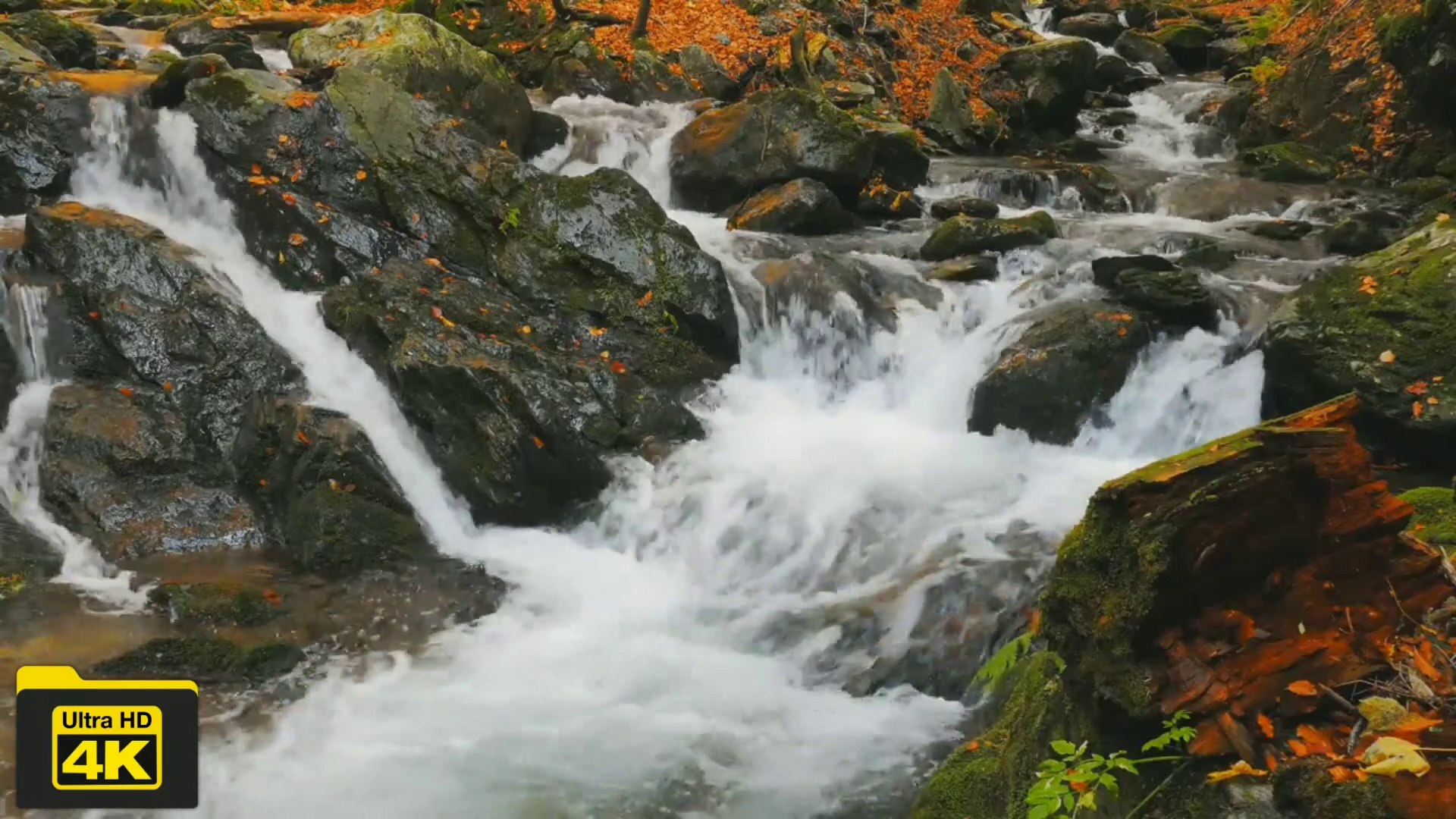 4k video/4k Forest River water flow 4K