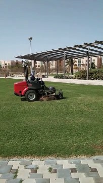 landscape maintenance