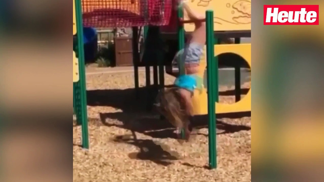 Er fetzt mit Vollgas durchs Wohnzimmer