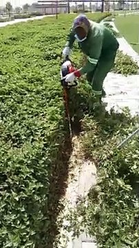 landscape maintenance