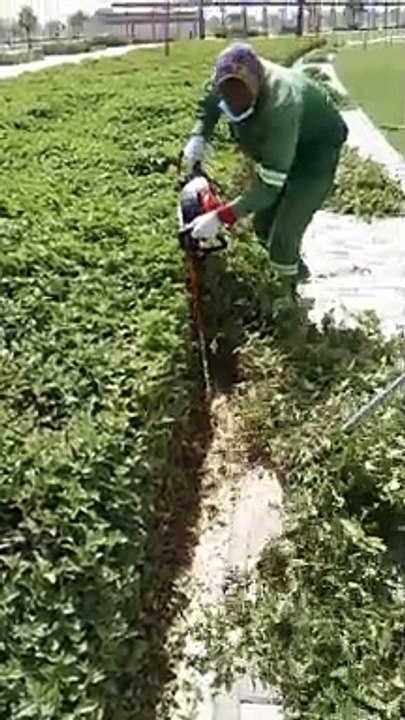 landscape maintenance
