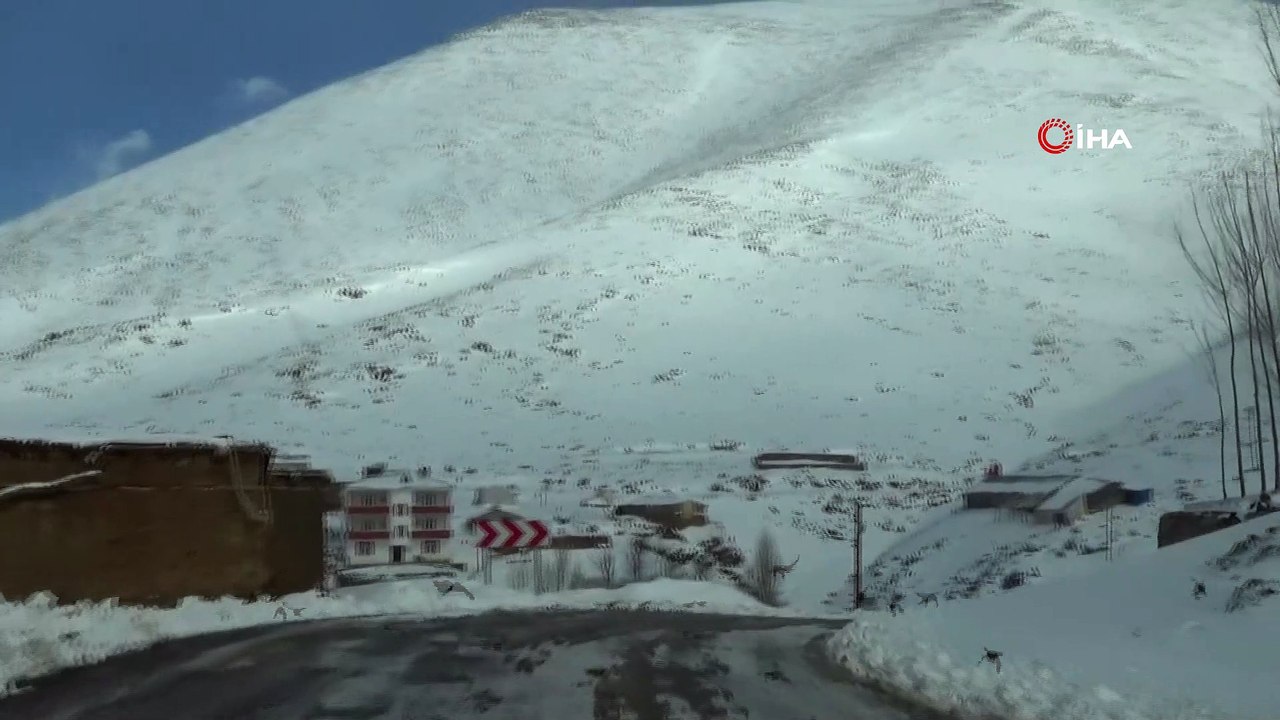 Van bir günde iki mevsim yaşıyor: Yüksek kesimlerinde metrelerce kar merkezde bahar havası