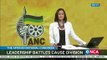 Leadership battles cause divisions within the ANC