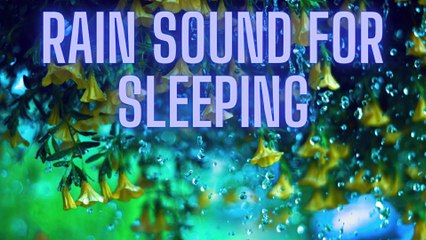 Rain Sounds Sleep | Calming Rain Sounds