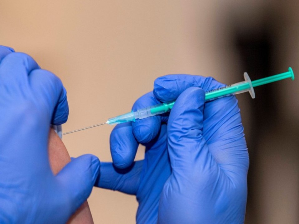 Hilfe gegen Corona: Tierärzte wollen impfen - Regierung pfeift drauf