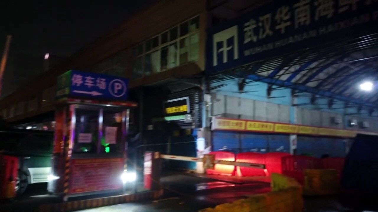 WHO: Ursprung des Corona-Virus steht 'wahrscheinlich' fest