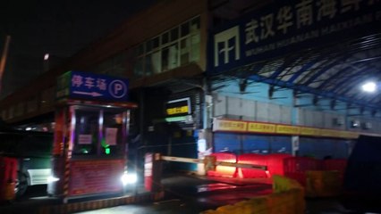 WHO: Ursprung des Corona-Virus steht "wahrscheinlich" fest