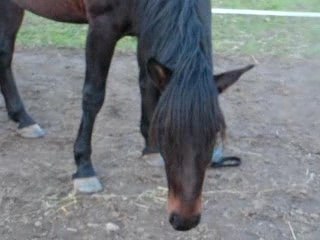 Quiator et la  pochette