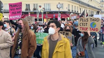 Francia somete a debate parlamentario el proyecto de ley sobre el clima, la calle ambiciona más