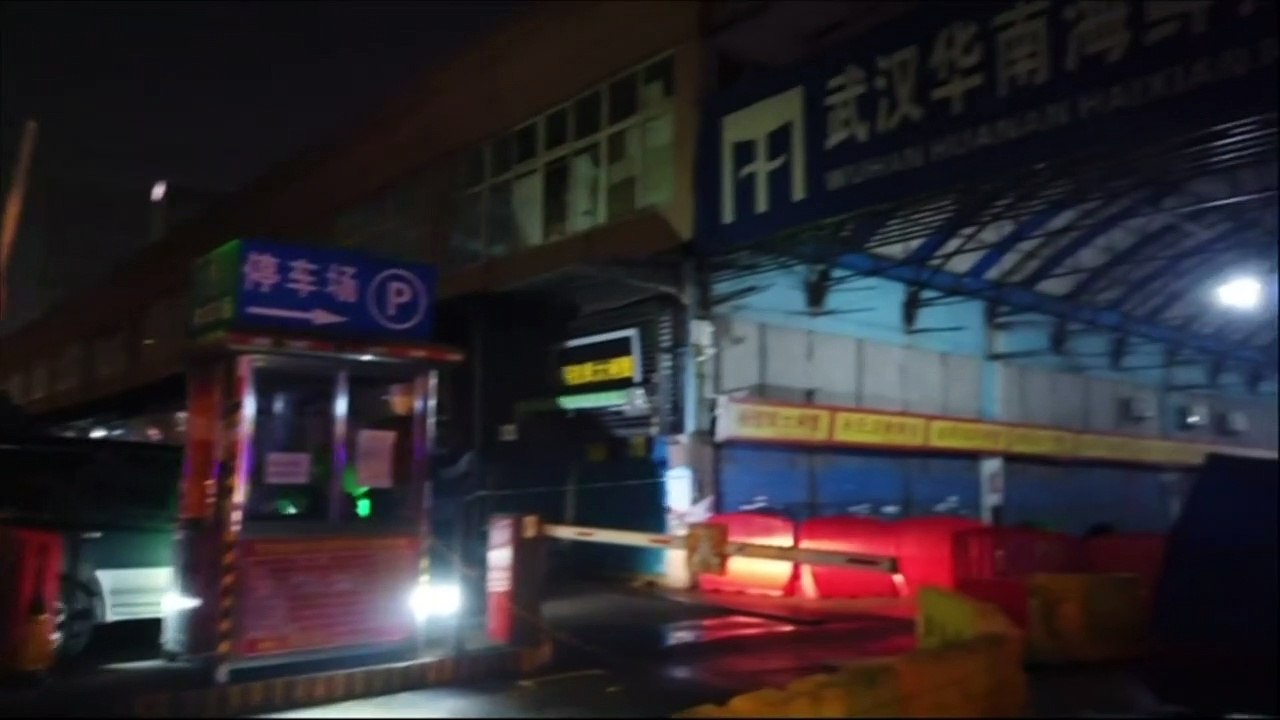 WHO: Ursprung des Corona-Virus steht 'wahrscheinlich' fest