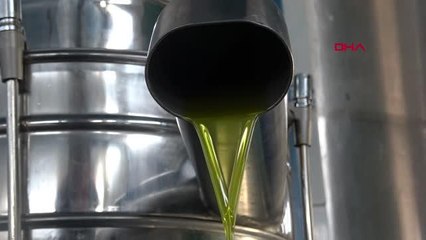 ADANA Sızma zeytinyağlarında toksin riski